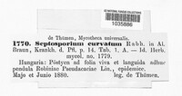 Septosporium curvatum image